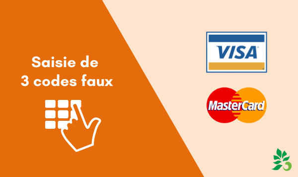 Pour les cartes Visa/Mastercard