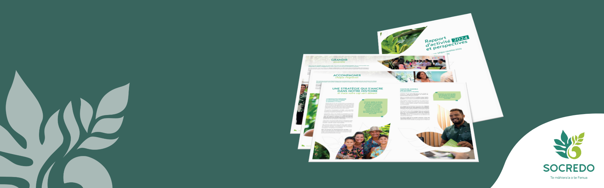 Rapport d'activité 2024