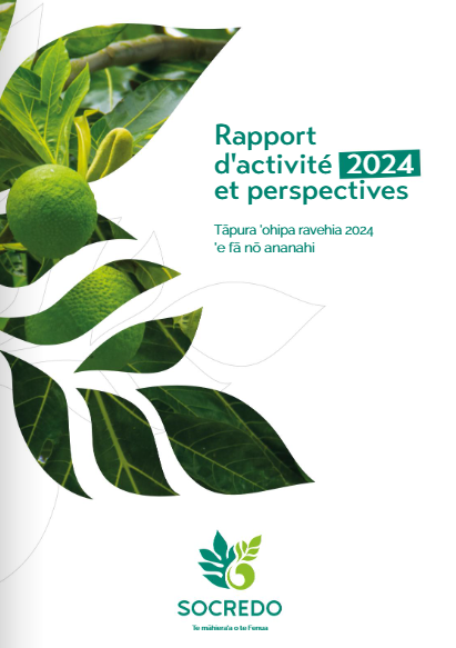 Rapport d'activité 2024